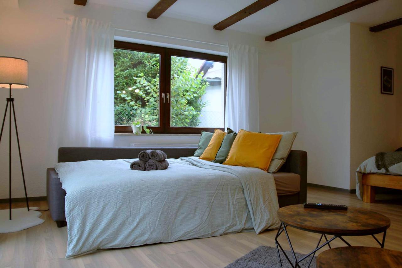 Studio-Apartment Mit Garten, Parkplatz & Kueche Offenburg Bagian luar foto